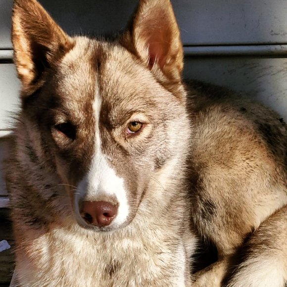 Meet your Posher, Lea - Picture 4 of 6